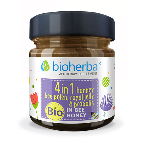 BIO complesso con miele – ApiMix, 280 g