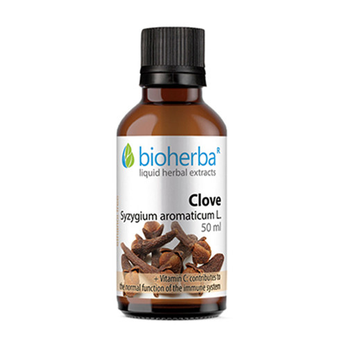 Probiotiche - gomme con culture microbiologiche