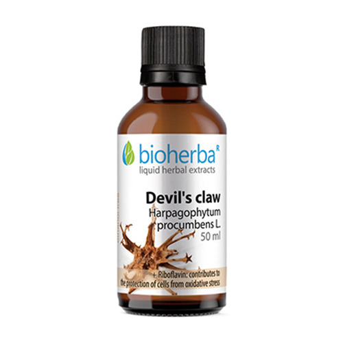 Artiglio del diavolo - tintura, 50 ml