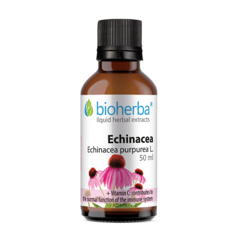 Tintura di Echinacea.