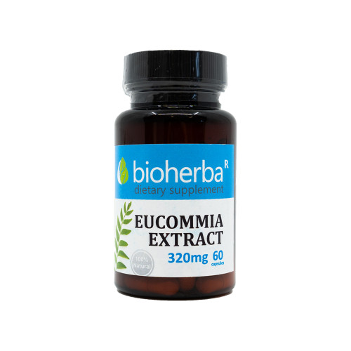 Eucommia estratto 320 mg, 60 capsule