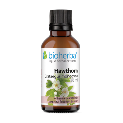 Biancospino - tintura, 50 ml