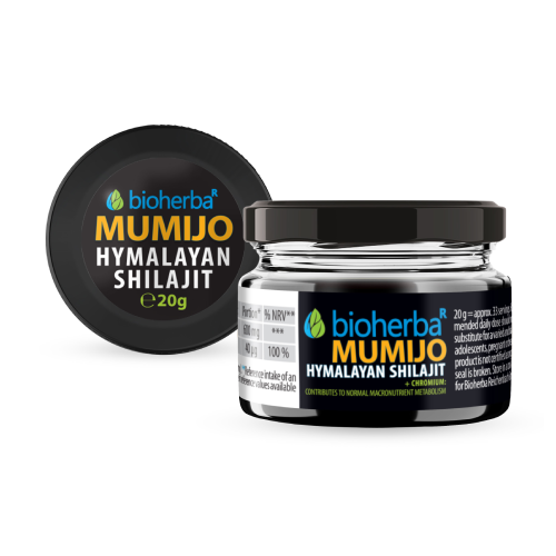 Shilajit (Mumio) resina