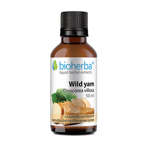 Probiotiche - gomme con culture microbiologiche