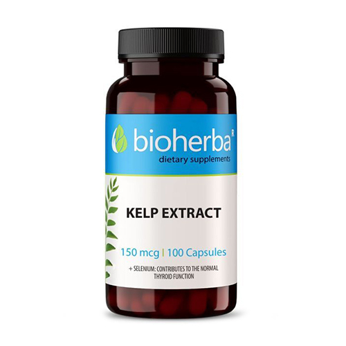 Estratto di alga kelp
