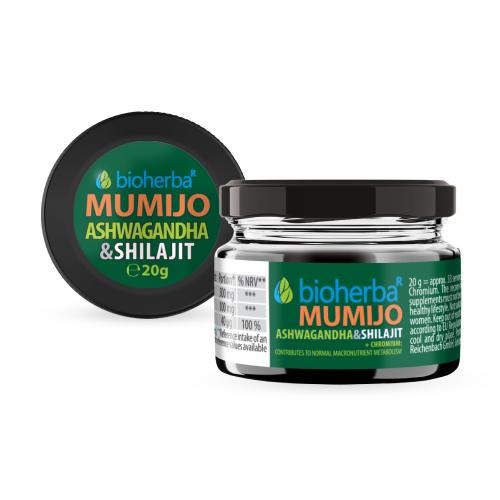 Shilajit (Mumio) resina con ashwagandha, 20 g