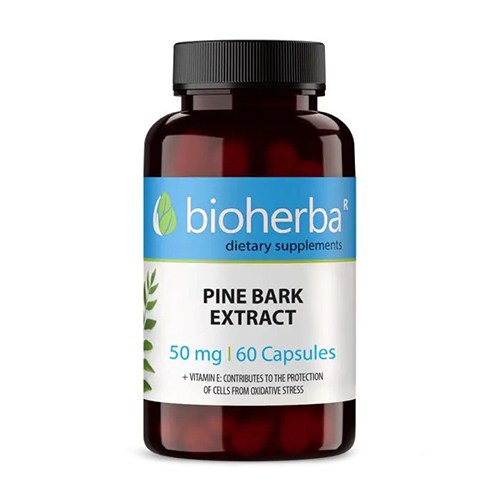 Corteccia di pino - estratto, 60 capsule
