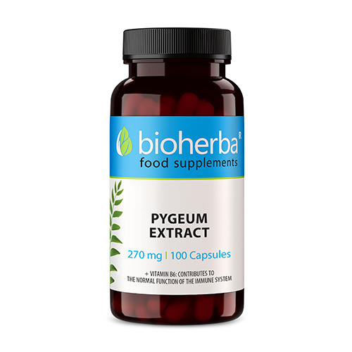 Prugna africana - pygeum.