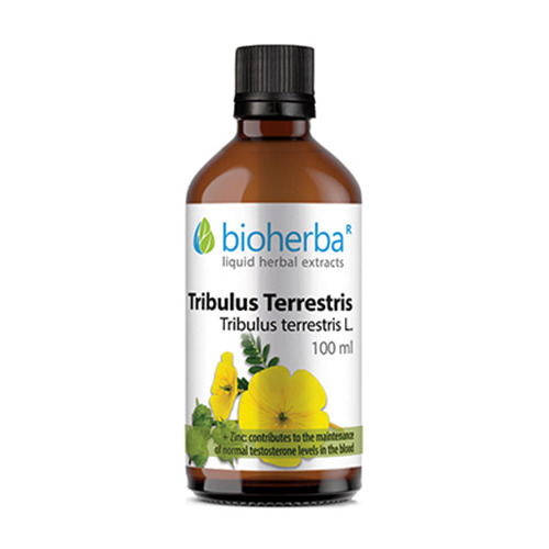 Tribolo - tintura, 100 ml