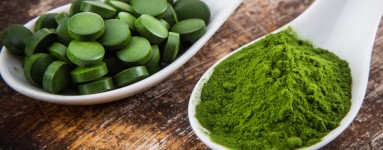Clorella (Chlorella)