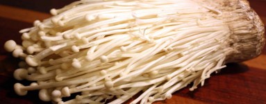 Enoki