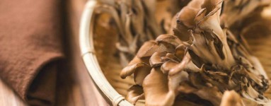 Maitake
