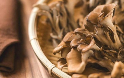 Maitake Maitake