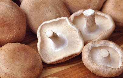 Shiitake
