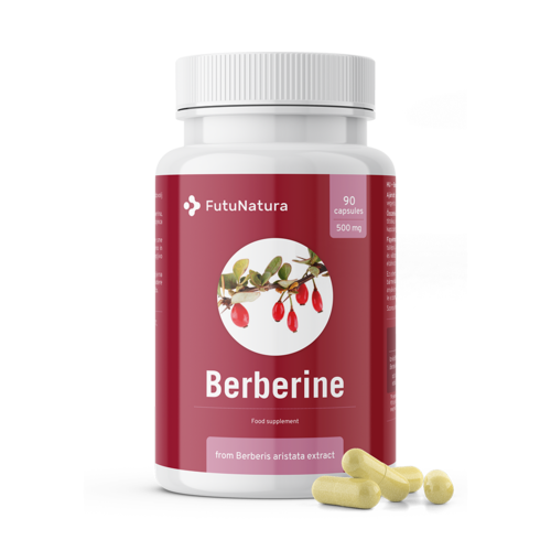 Berberina 500 mg dall'estratto di Berberis aristata