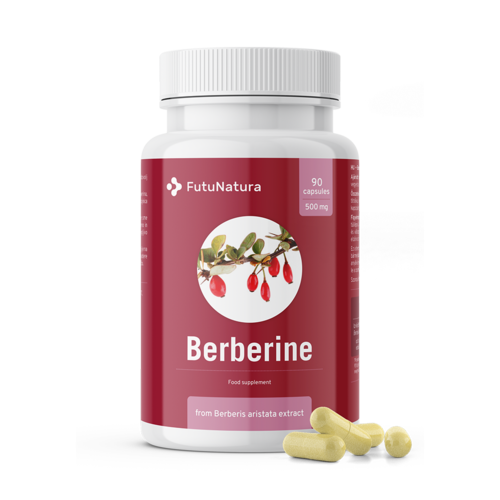Berberina 500 mg, 90 capsule
