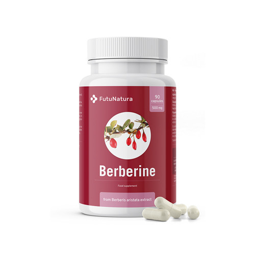 Berberina 500 mg da estratto di Berberis aristata