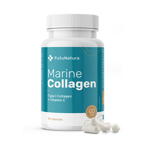Collagene marino