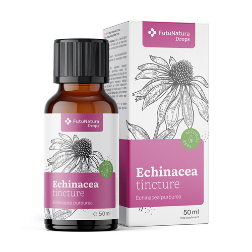 Echinacea – tintura, 50 ml