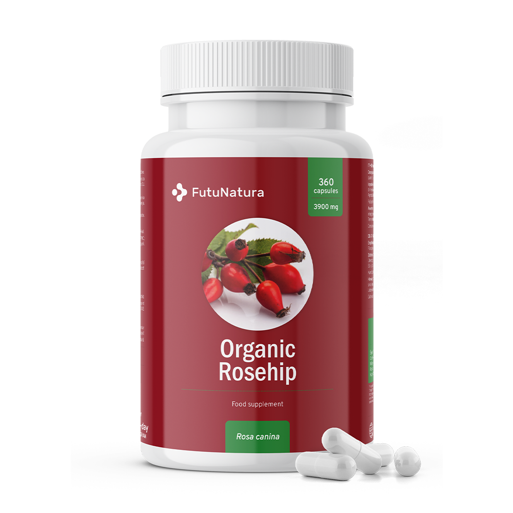 BIO Rosa canina in capsule.