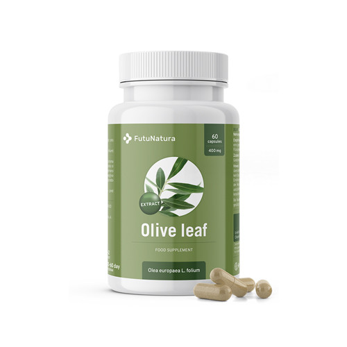 Foglie di olivo – estratto, 60 capsule