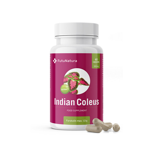 Ortica indiana Forskolin - perdita di peso, 60 capsule