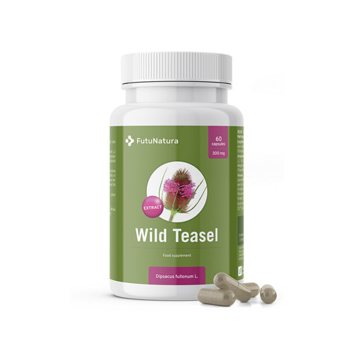 Cardo da lanaioli - malattia di lyme, 60 capsule