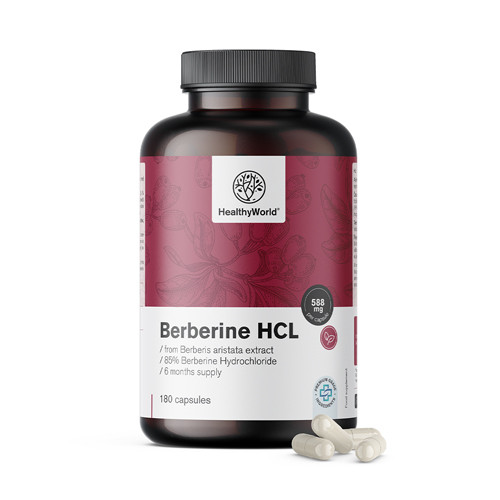 Berberina HCL 500 mg dall'estratto di Berberis aristata