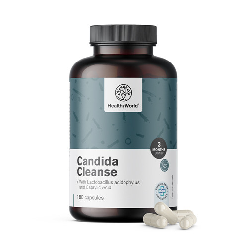 Candida Cleanse con Lactobacillus acidophylus e Bifidobacterium bifidum