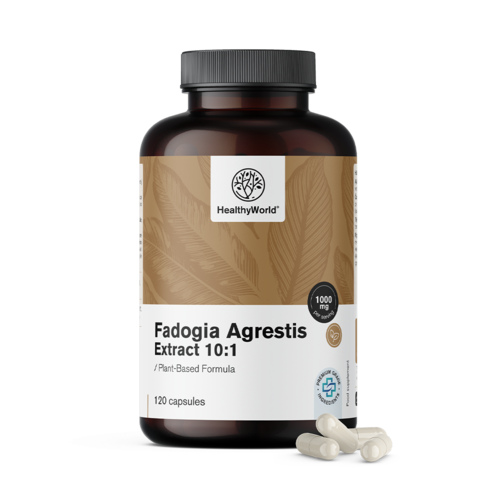Fadogia Agrestis 1000 mg in capsule