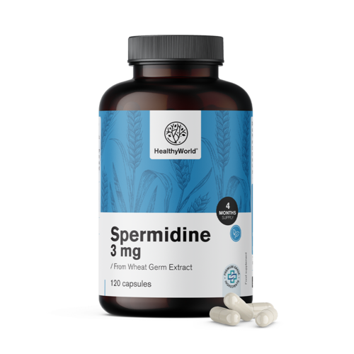 Spermidina 3 mg – dall'estratto di germe di grano