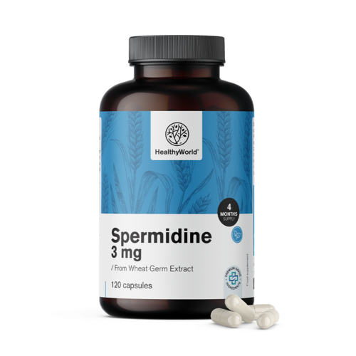 Spermidina 3 mg – dall'estratto di germe di grano, 120 capsule