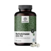 Nattokinase 2000 FU, 240 capsule