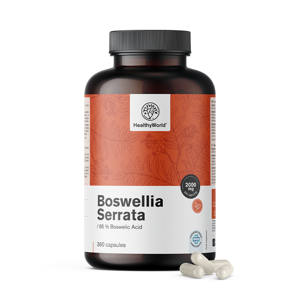 Boswellia Serrata – 85% di acido boswellico