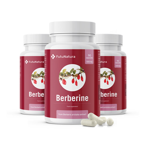 Berberina 500 mg da estratto di Berberis aristata