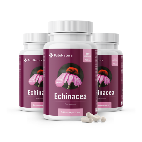 3x Echinacea – estratto 10:1, totale 1080 capsule