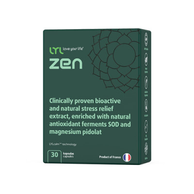 Zen – sistema nervoso