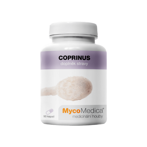 fungo Coprinus
