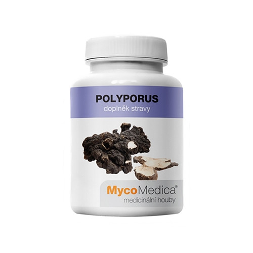 Polyporus – funghi, 90 capsule