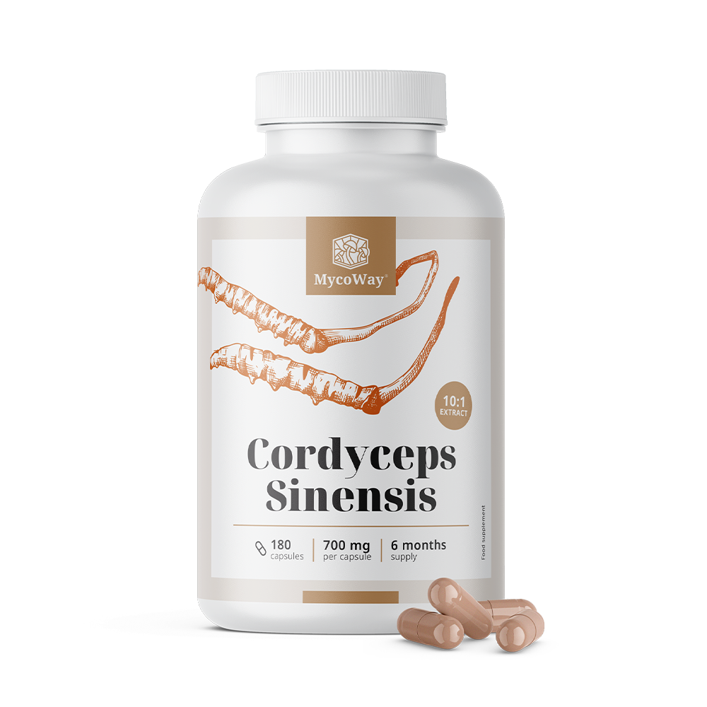 Cordyceps sinensis 1400 mg - estratto 10:1.