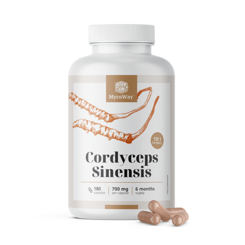 Cordyceps sinensis 1400 mg – estratto 10:1, 180 capsule