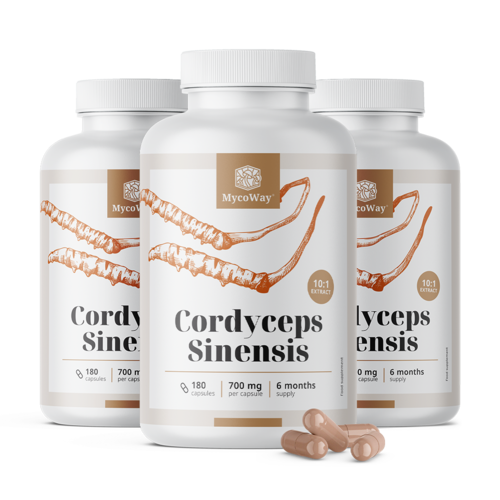 3x Cordyceps sinensis 1400 mg – estratto 10:1, totale 540 capsule