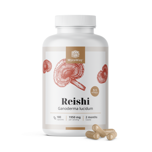 Reishi 1950 mg – estratto 5:1, 180 capsule