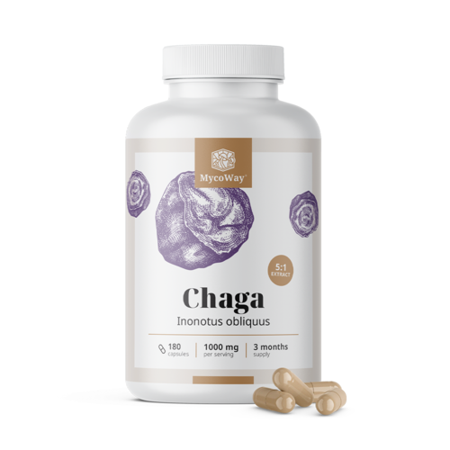 Chaga 1000 mg – estratto 5:1, 180 capsule