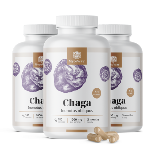 3x Chaga 1000 mg – estratto 5:1, totale 540 capsule