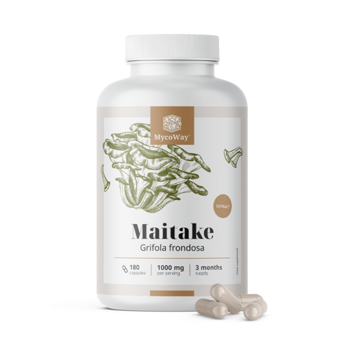 Maitake 1000 mg – estratto, 180 capsule