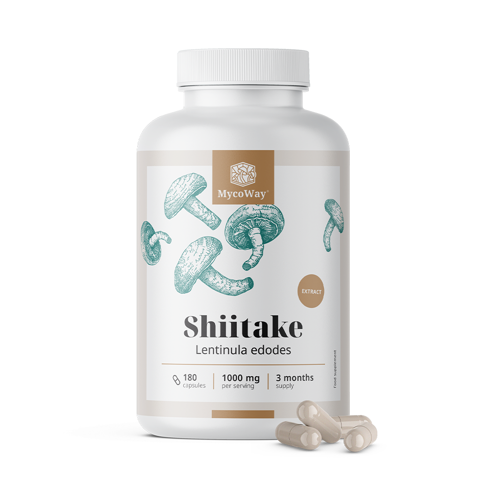 Shiitake 1000 mg - estratto.