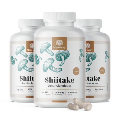 3x Shiitake 1000 mg – estratto, totale 540 capsule