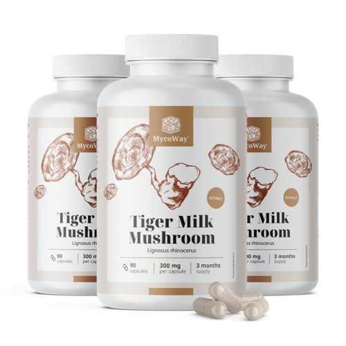 3x Tiger Milk 300 mg – estratto del fungo Lignosus rhinocerus, totale 270 capsule