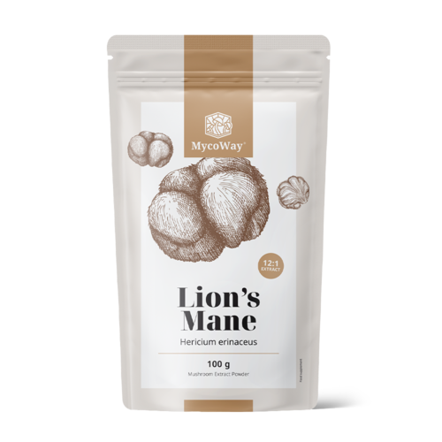 Testa di scimmia (Criniera di leone) – estratto 12:1, 100 g